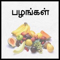 பாடங்கள்