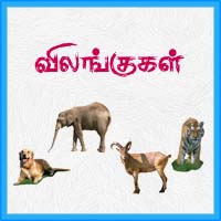 பாடங்கள்