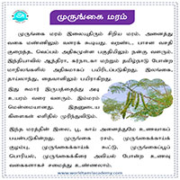 பாடங்கள்