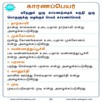 பாடங்கள்