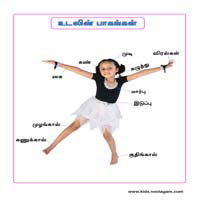 பாடங்கள்