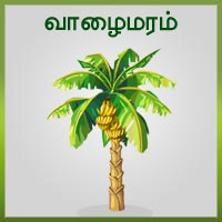 பாடங்கள்