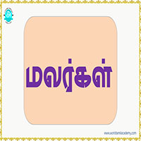பாடங்கள்