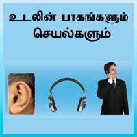 பாடங்கள்