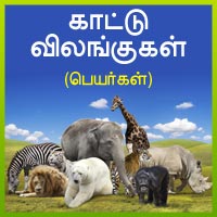 பாடங்கள்