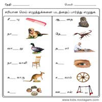 Worksheets