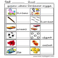 Worksheets