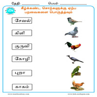 Worksheets
