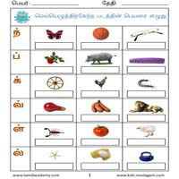 Worksheets