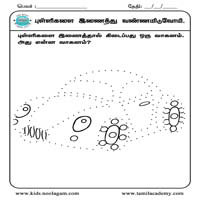 Worksheets