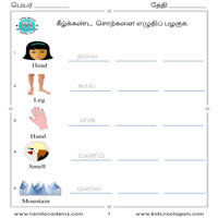 Worksheets