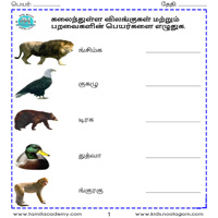 Worksheets