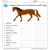 Worksheets