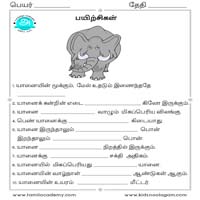 Worksheets