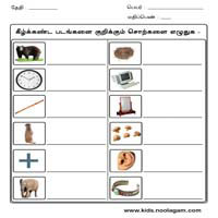 Worksheets