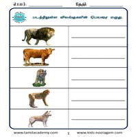 Worksheets