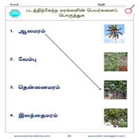Worksheets