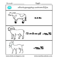 Worksheets