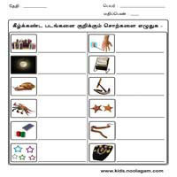 Worksheets