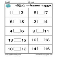 Worksheets
