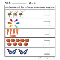 Worksheets