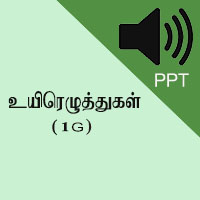 Worksheets