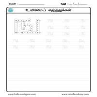 Worksheets
