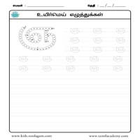 Worksheets