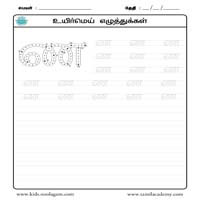 Worksheets