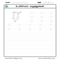 Worksheets