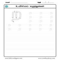 Worksheets
