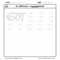 Worksheets