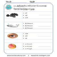 Worksheets