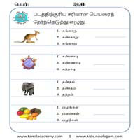 Worksheets