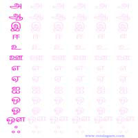 Worksheets