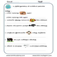 Worksheets