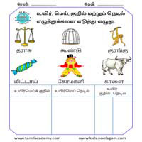 Worksheets