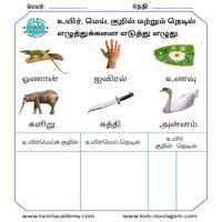Worksheets