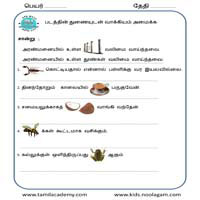 Worksheets