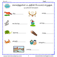 Worksheets