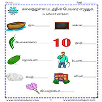 Worksheets