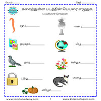 Worksheets