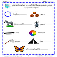Worksheets