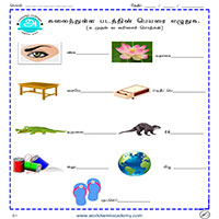 Worksheets
