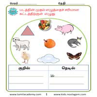Worksheets