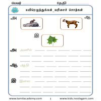 Worksheets