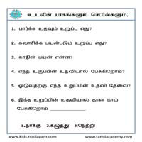 Worksheets