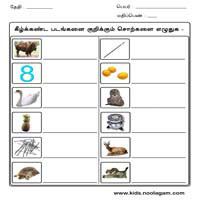 Worksheets