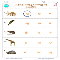 Worksheets