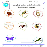 Worksheets